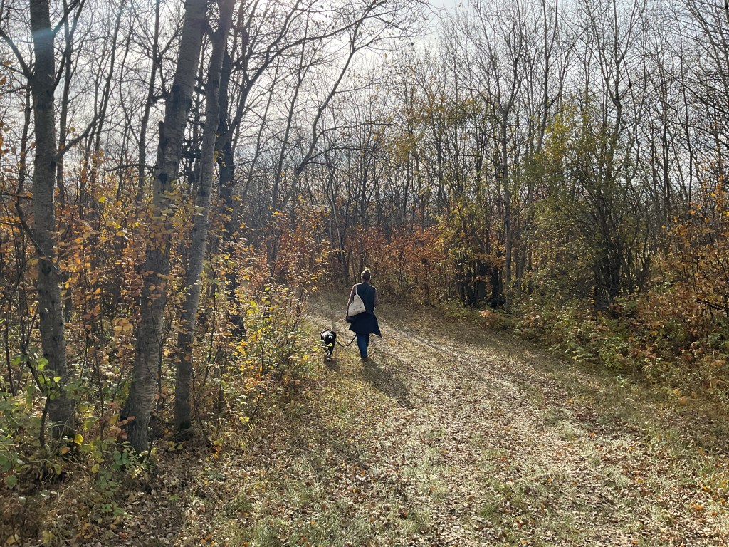 A woman and a dog walk along a path bordered by trees.